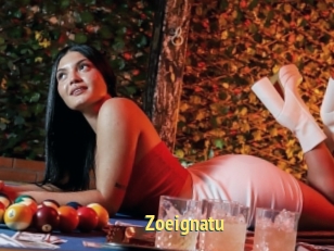 Zoeignatu