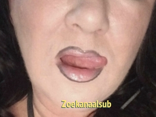 Zoekanaalsub